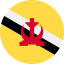eSIM Brunei